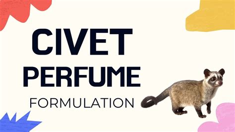 what perfumes contain civet